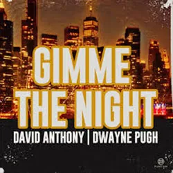 David Anthony & Dwayne Pugh – Gimme The Night cover
